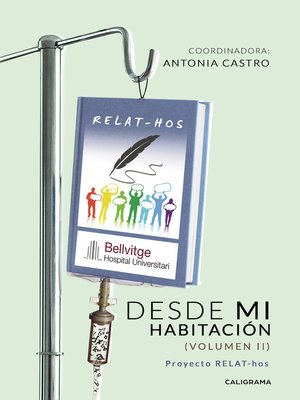 cover image of Desde mi habitación (volumen II)